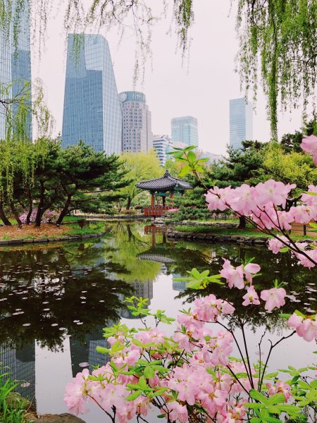 Корея Seoul