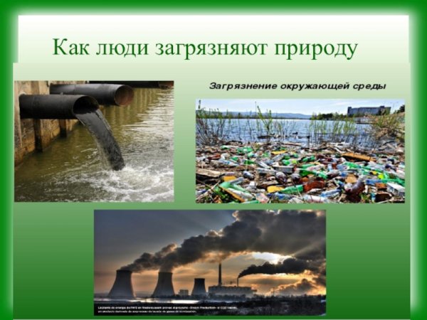 Экологические проблемы