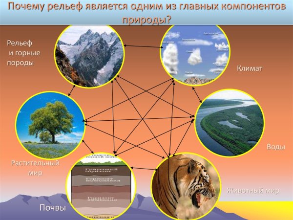 Компоненты природы