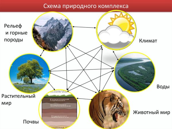Схема компоненты природного комплекса
