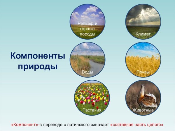 Компоненты природы в географической оболочке