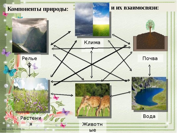 Природный комплекс рисунок