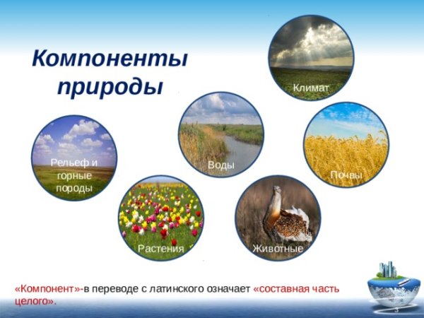Компоненты природы