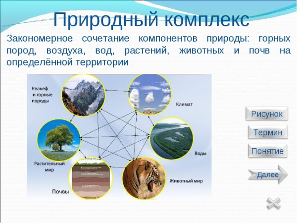 Природные комплексы