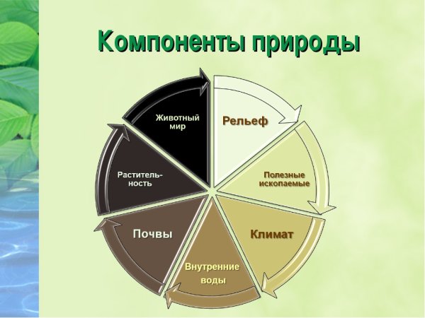 Компоненты природы
