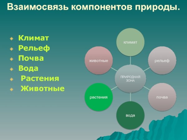 Компоненты природы