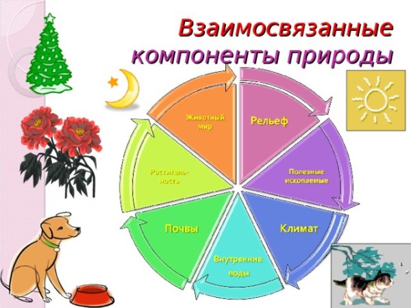 Компонент природного комплекса
