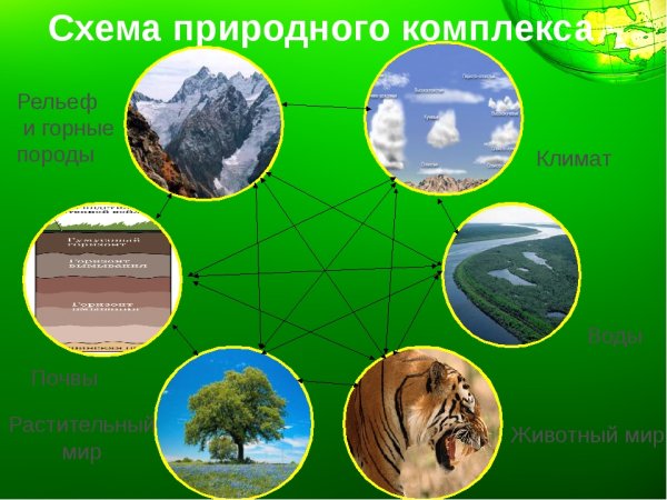 Природно-территориальный комплекс