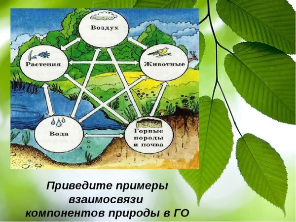 Схема природного территориального комплекса в географии
