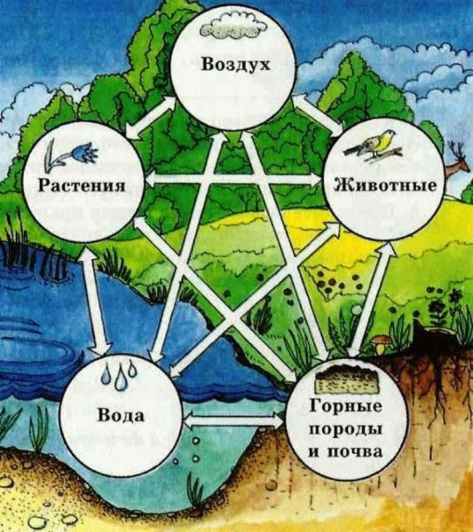 Природные комплексы