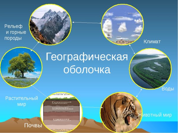 Влияние рельефа на компоненты природы