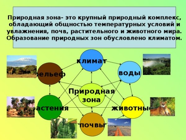 Взаимосвязь элементов природы