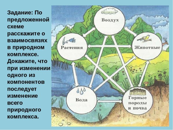 Схема природного комплекса