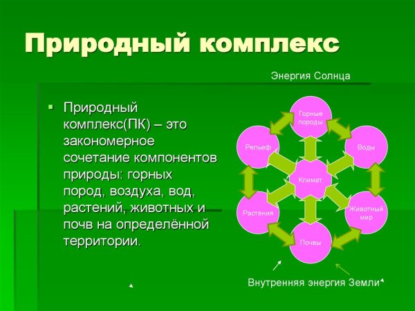 Схема природного комплекса
