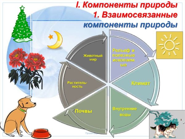 Природно-территориальный комплекс