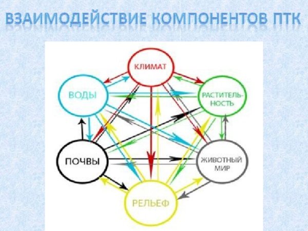 Природно-территориальный комплекс