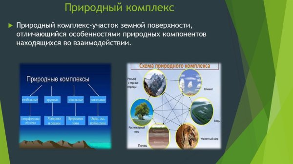Взаимосвязь компонентов природного комплекса схема