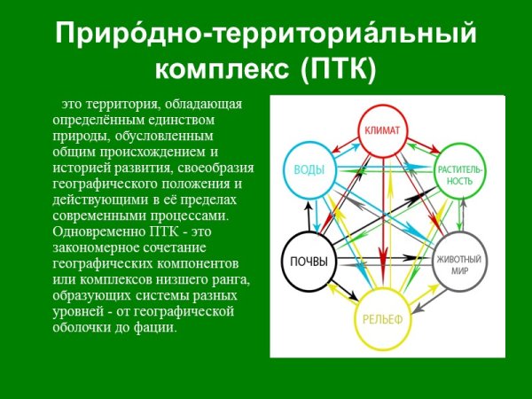 Природно-территориальный комплекс