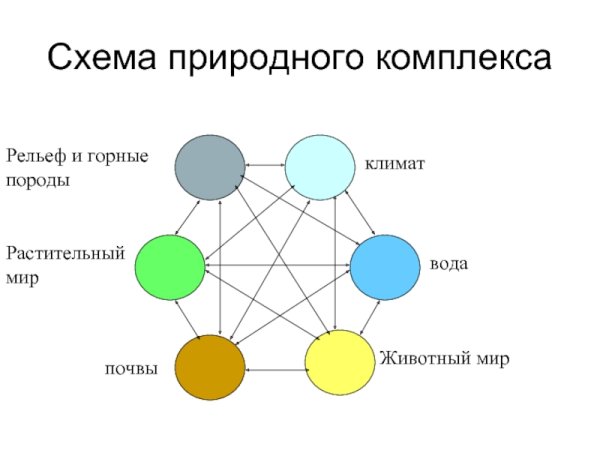 Разнообразие природных комплексов