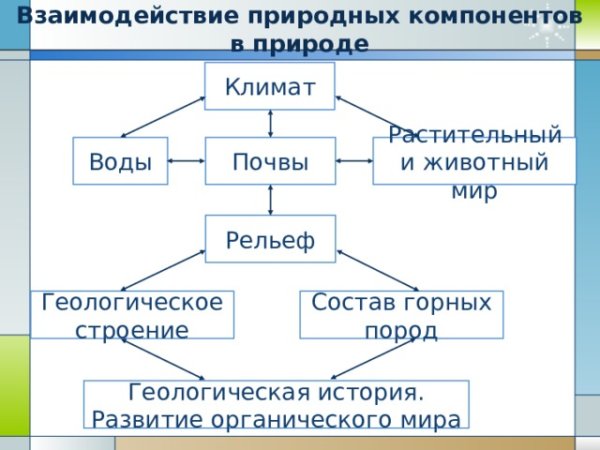 Природные комплексы мира