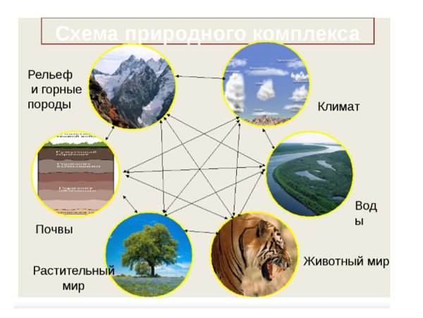 Схема природного комплекса