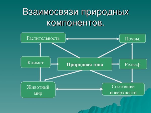 Компоненты природы