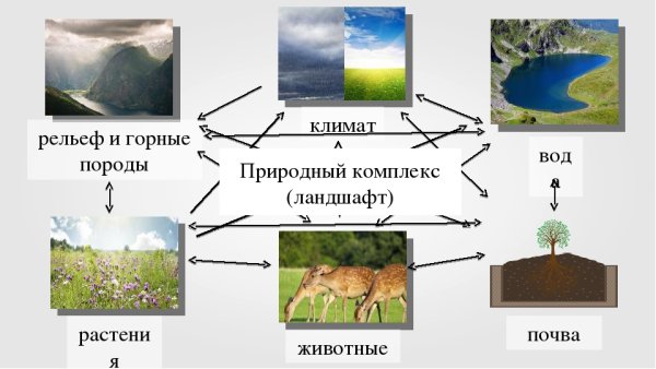 Компоненты природы