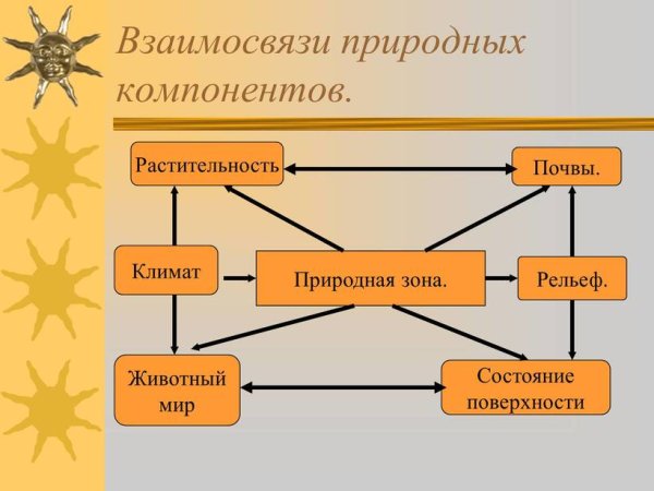 Природные зоны схема