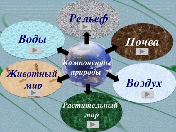 Компонент природы