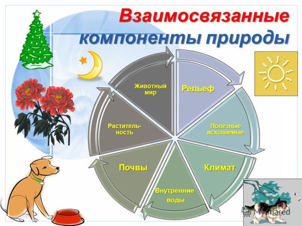 Природные комплексы