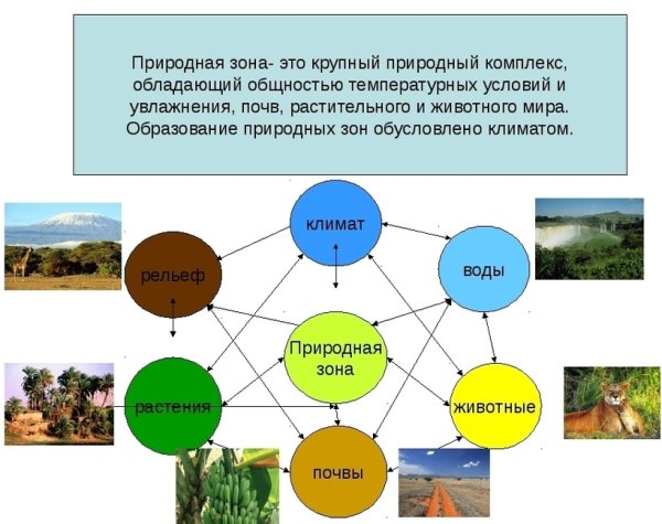 Примеры природных комплексов