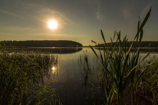 Нижний Тагил природа