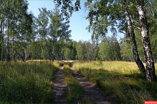 Любительские фотографии природы