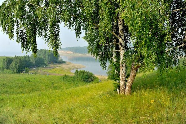 Летняя природа любительская