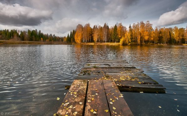 Берег озера холодная осень