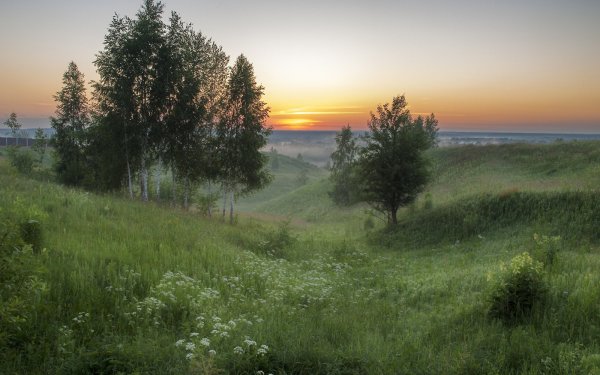 Среднерусская природа