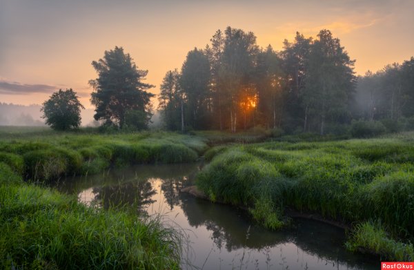 Речка в лесу