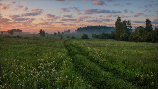 Июнь природа