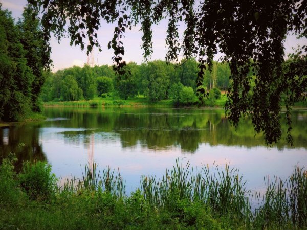 Июль озеро природа