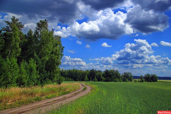 Жаркое лето природа