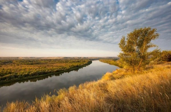 Донской пейзаж Ростовской области