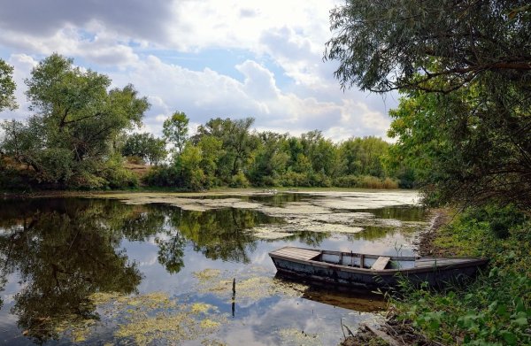 Пейзажи Воронежской области