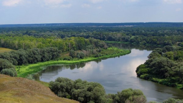 Река в Кривоборье Воронежская область