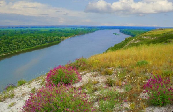 Природа Липецкой области Воронеж река