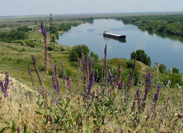 Река Дон Вешенская