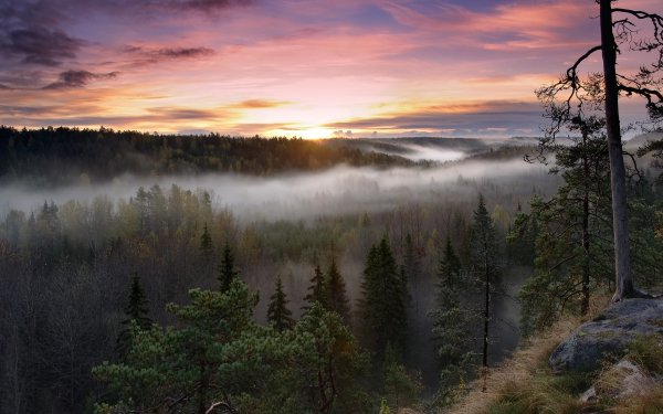 Красота природы