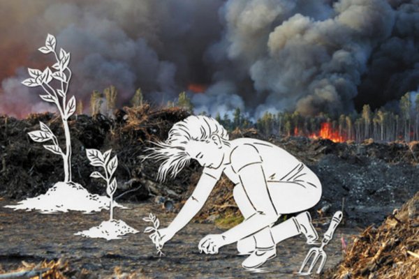 Разрушение экологии