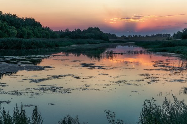 Тамбов природа