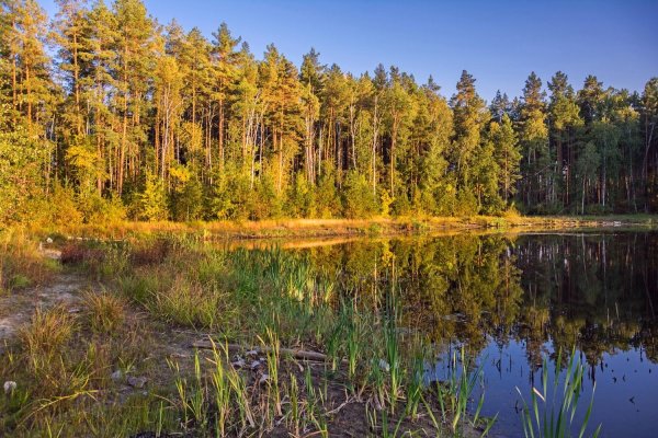Тамбов природа
