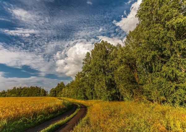 Тамбов природа